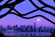 2026年世界沙滩摔跤系列赛拟增中国站 促进传统与现代融合，沙滩世杯